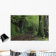 Path Through The Woods Wall Mural