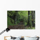 Path Through The Woods Wall Mural