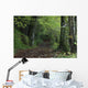 Path Through The Woods Wall Mural
