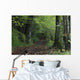 Path Through The Woods Wall Mural