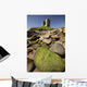 Minard Castle And Rocky Beach Wall Mural