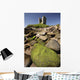 Minard Castle And Rocky Beach Wall Mural