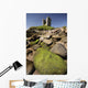 Minard Castle And Rocky Beach Wall Mural