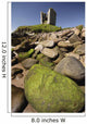 Minard Castle And Rocky Beach Wall Mural