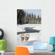 Snowshoes By Snowy Lake Wall Mural