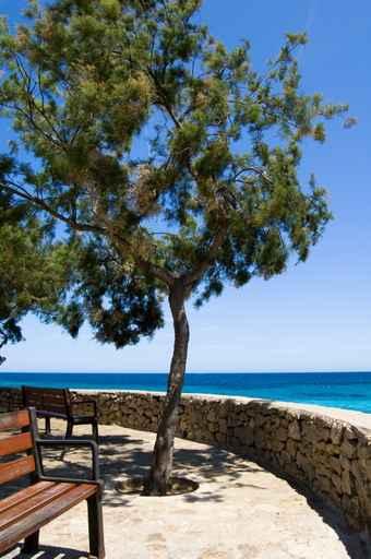 Seaview Wall Decal Design 1