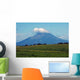 Volcano Chingo Wall Decal