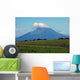 Volcano Chingo Wall Decal