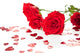 Red Roses and Hearts Wall Mural