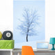 Frost And Snow Cover An Oak Tree Wall Mural