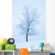 Frost And Snow Cover An Oak Tree Wall Mural