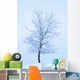 Frost And Snow Cover An Oak Tree Wall Mural