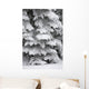 Snow Covered Evergreen Trees Wall Mural