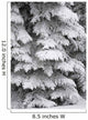 Snow Covered Evergreen Trees Wall Mural
