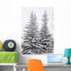 Snow Covered Evergreen Trees Wall Mural