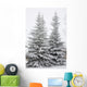 Snow Covered Evergreen Trees Wall Mural