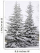 Snow Covered Evergreen Trees Wall Mural