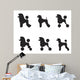 Black Poodle Clipped Various