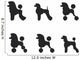 Black Poodle Clipped Various