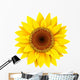 Sunflower Wall Decal