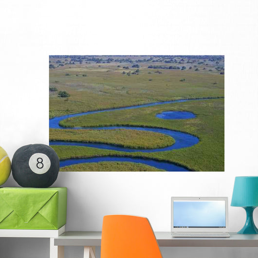 Okavango Delta Wall Decal