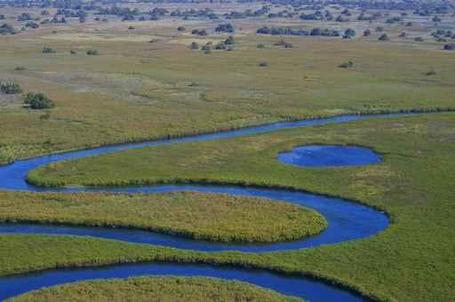 Okavango Delta Wall Decal