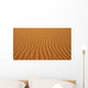 Patterns In The Desert Sand Wall Mural