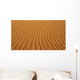 Patterns In The Desert Sand Wall Mural