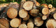 Logs Wall Decal