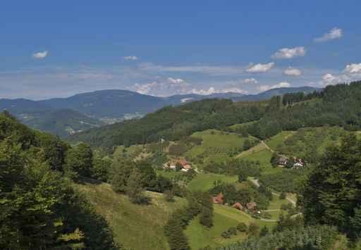 Im Schwarzwald Wall Decal
