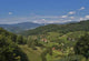 Im Schwarzwald Wall Decal