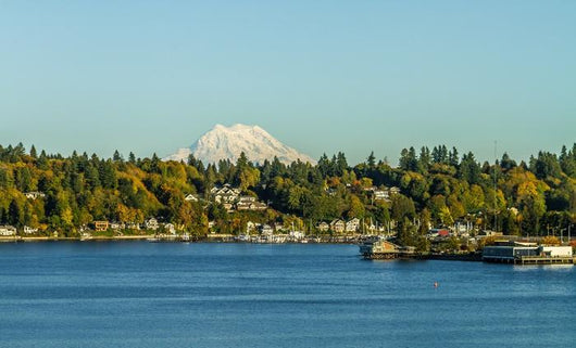 Olympia Waterfront with Mt Washington Wall Decal