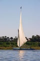 Nile Felucca