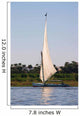 Nile Felucca