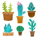 Six Cacti Cactus Wall Decal Sticker Set