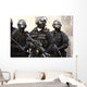 SWAT officer in full tactical gear. Wall Mural