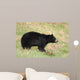 Black Bear Wall Mural