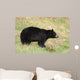 Black Bear Wall Mural