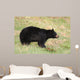 Black Bear Wall Mural