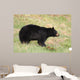 Black Bear Wall Mural