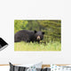 Large Male Black Bear Wall Mural