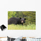 Large Male Black Bear Wall Mural