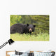 Large Male Black Bear Wall Mural