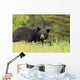 Large Male Black Bear Wall Mural