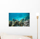 Tropical Underwater Landscape