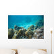 Tropical Underwater Landscape