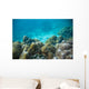 Tropical Underwater Landscape
