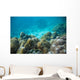 Tropical Underwater Landscape