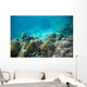 Tropical Underwater Landscape