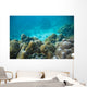 Tropical Underwater Landscape